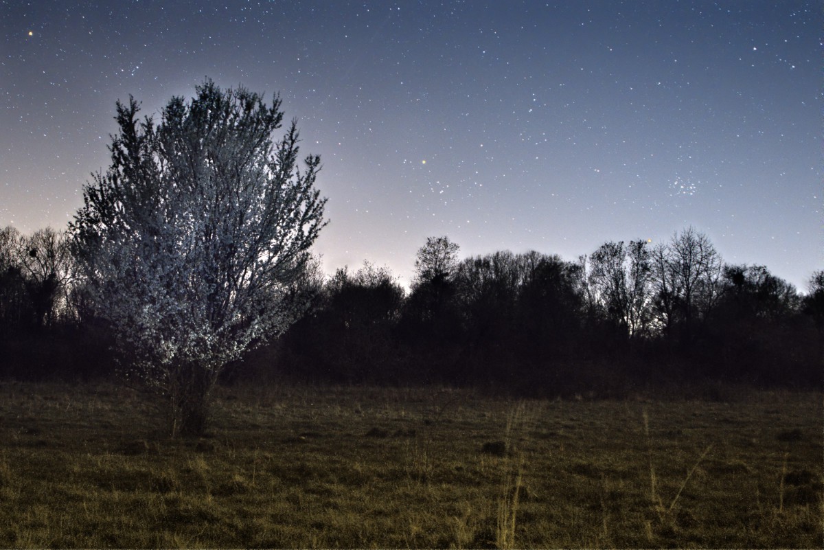 landschaften-20190329a