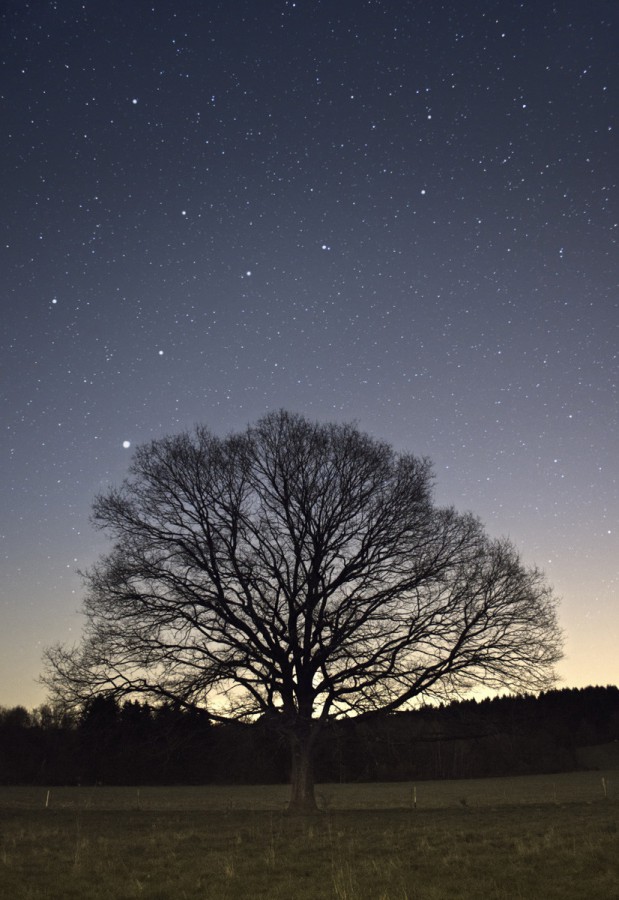 landschaften-20190329b