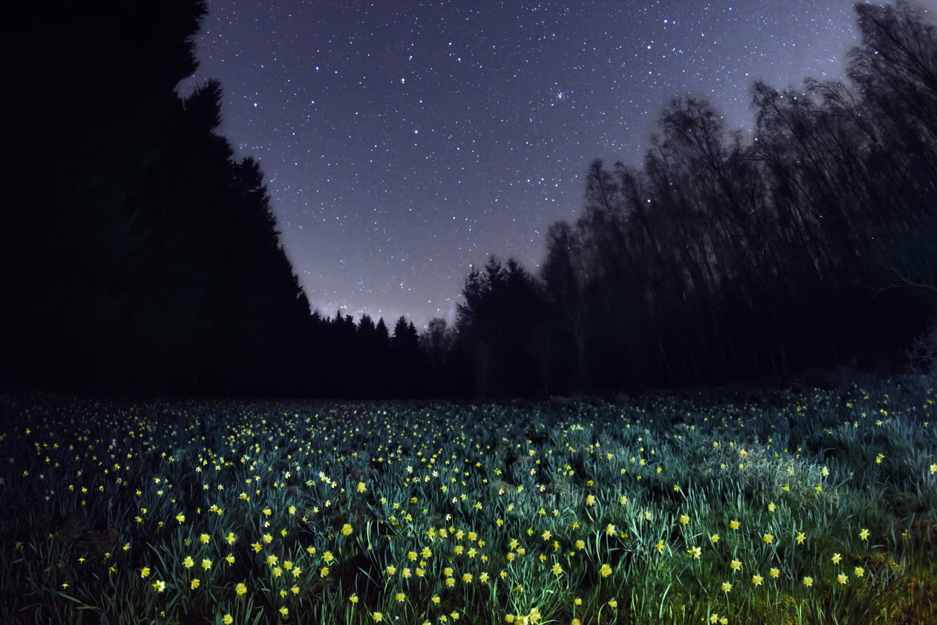 landschaften-20190407a