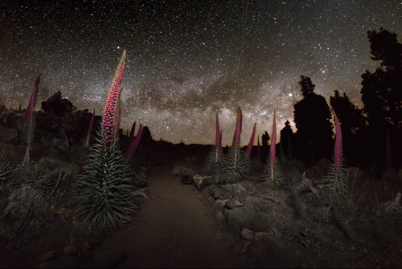 landschaften-20190508a