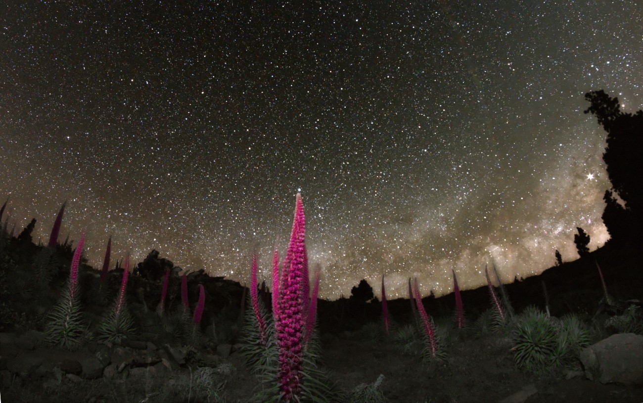 landschaften-20190508c