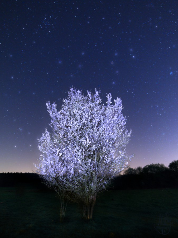 landschaften-20210404a