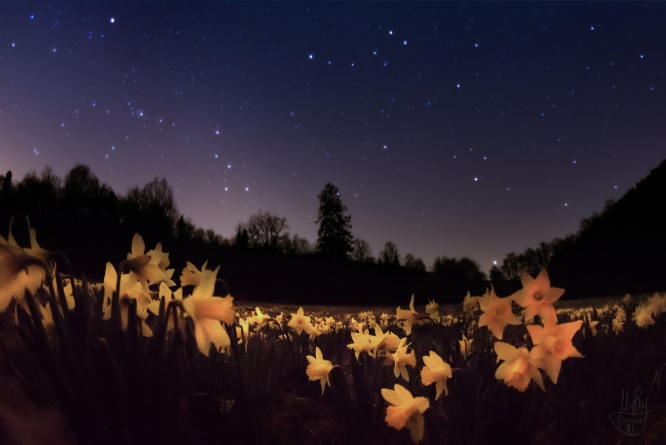 landschaften-20210404c