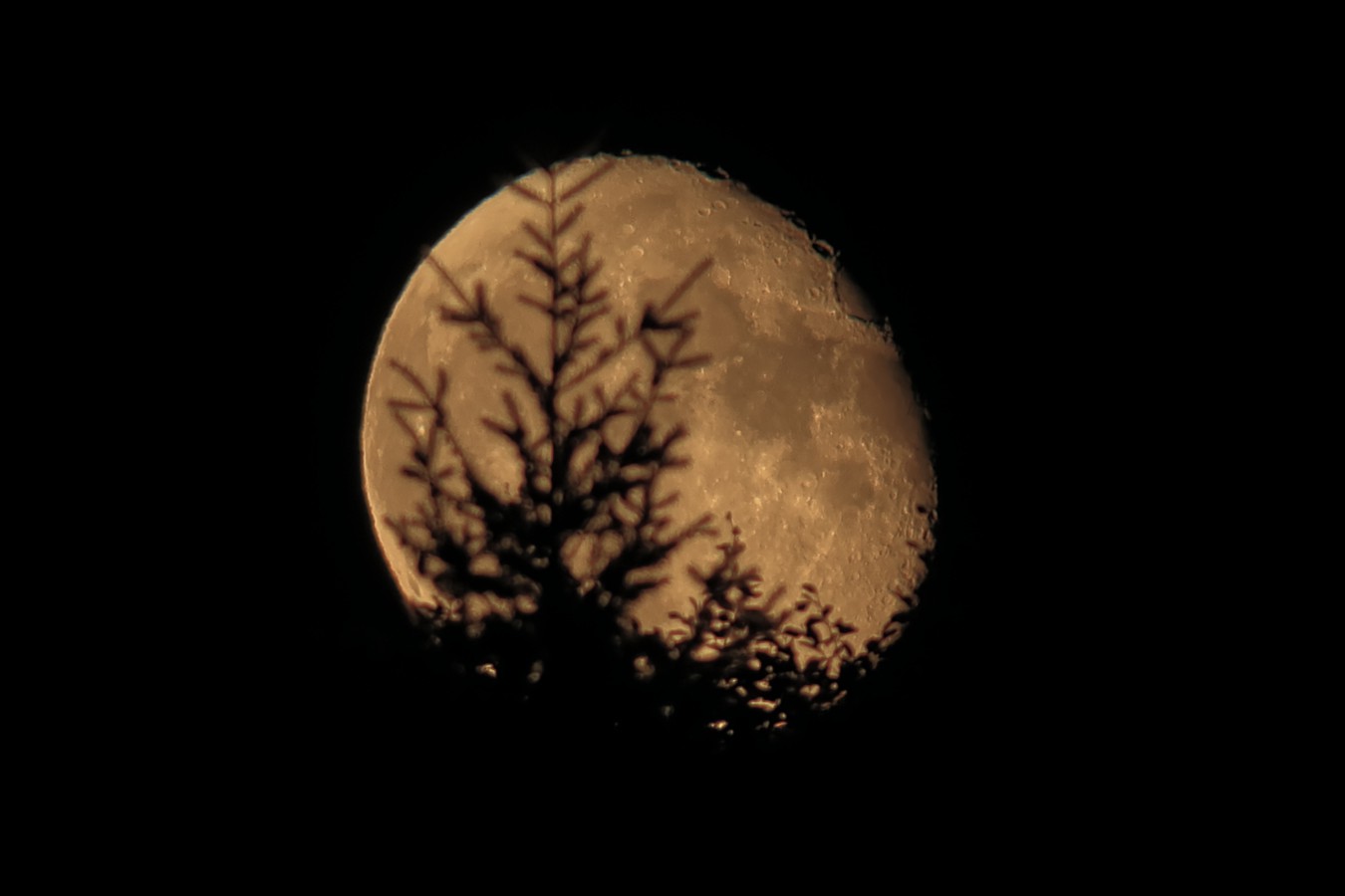 mondimpressionen-20150930a