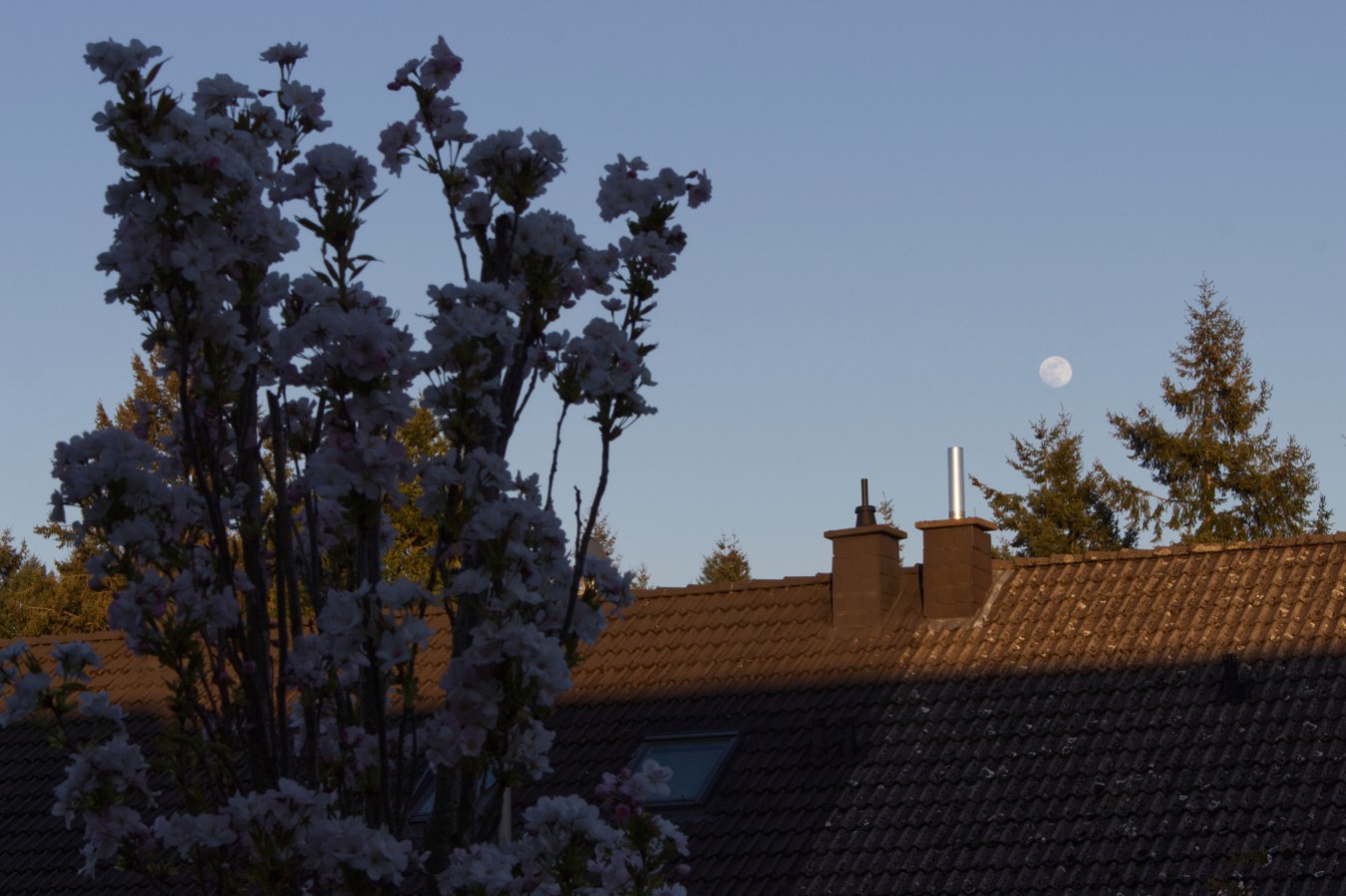 mondimpressionen-20170409a