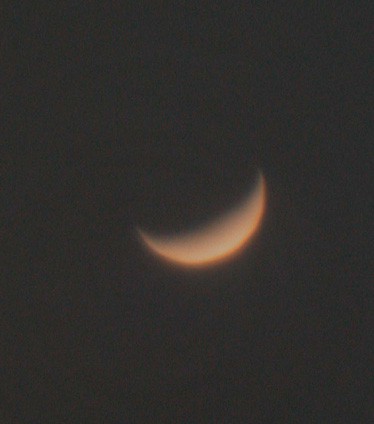 venus-20040502a