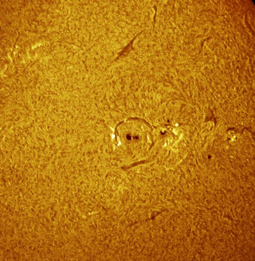 sonnenflecken-20020213a