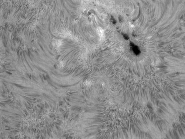 sonnenflecken-20130707b