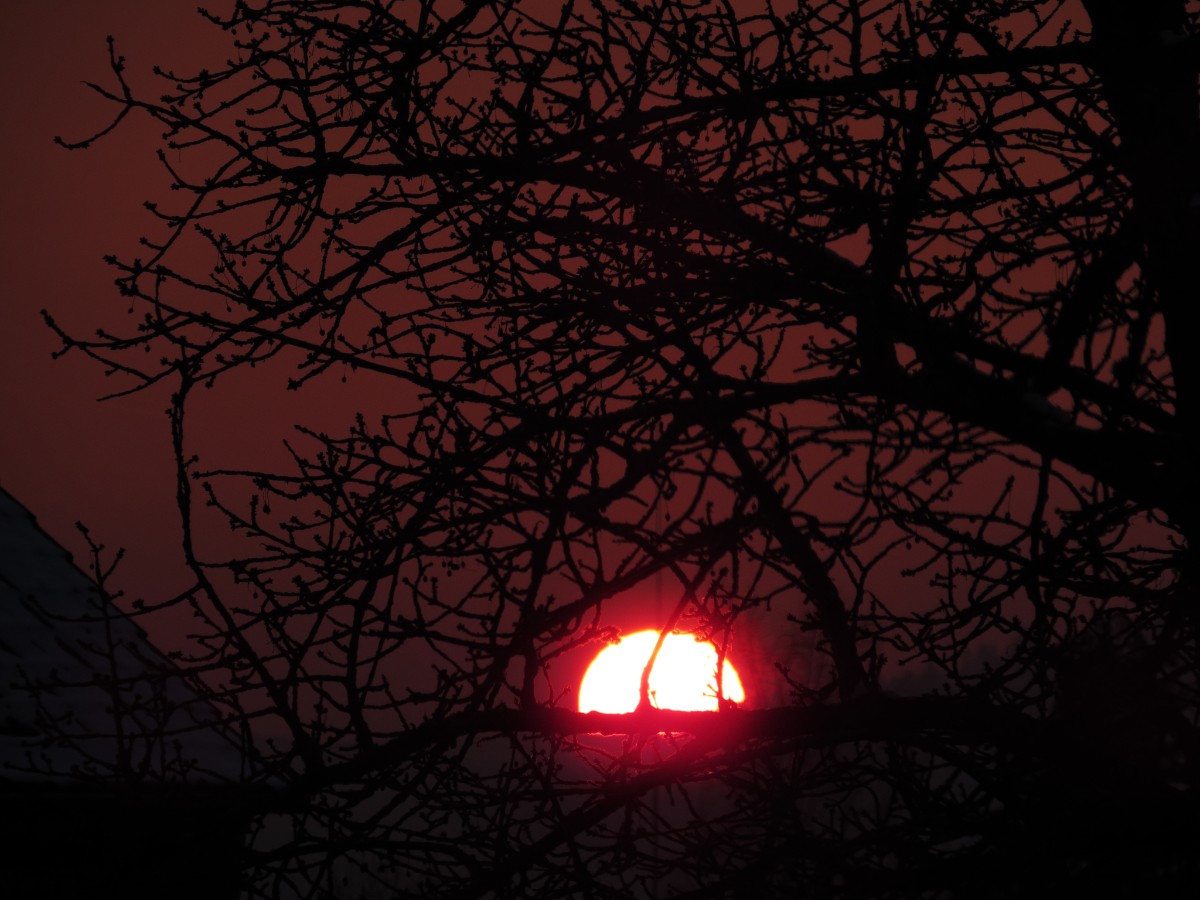 sonnenimpressionen-20180208a