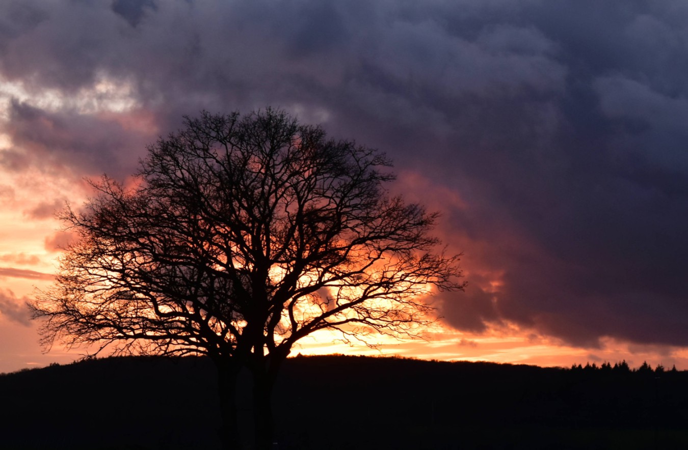 sonnenwanderung-20221229a