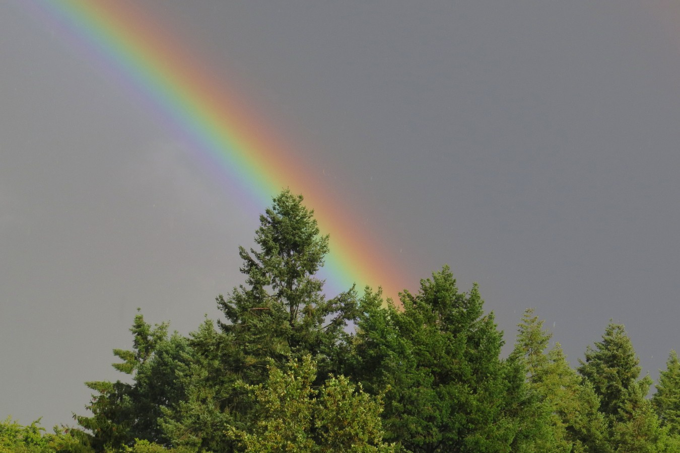 regenbogen-20191009a