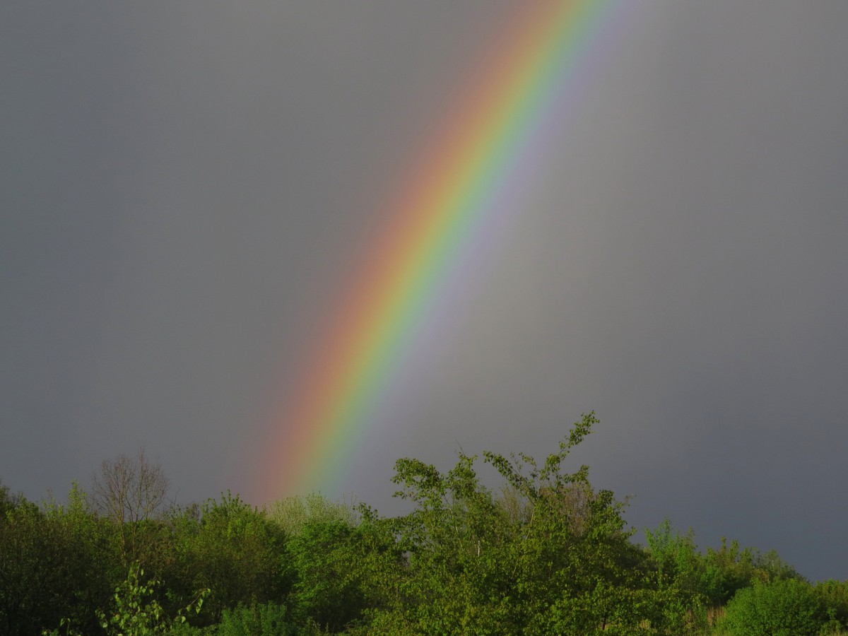 regenbogen-20210514a